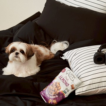 Gitden 並排抗過敏薄被  黑色  Q