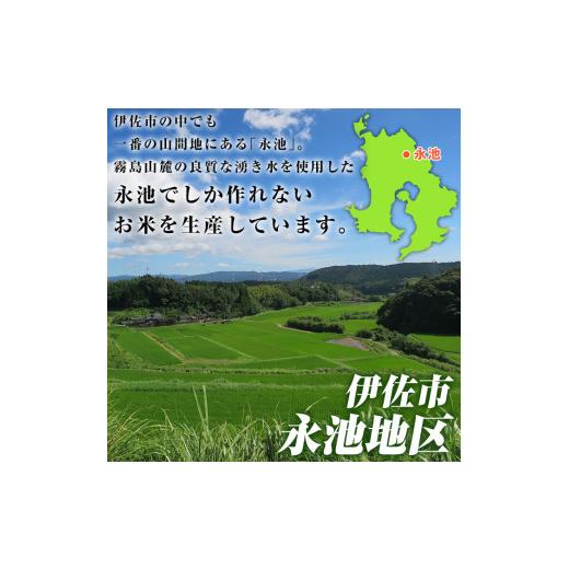 ふるさと納税 鹿児島県 伊佐市 isa400 令和5年産 新米 特別栽培米 永池ひのひかり玄米(5kg) 