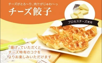 「宇都宮餃子館」チーズ餃子 960ｇ（４８個）≪ギョーザ 冷凍餃子 冷凍食品 グルメ 食品 惣菜 中華惣菜 点心 中華≫