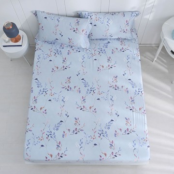 鴻宇寢飾 高織天絲床包3件組 雙人加大 萊賽爾 台灣製  床包 + 枕套 2個  比安卡