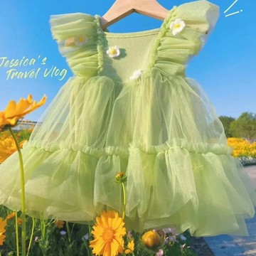 寵物衣服 狗狗春夏薄款裙子 貓咪公主婚紗裙 蕾絲小型犬連身裙 泰迪約克夏比熊蓬蓬裙 寵物服飾【不二雜貨】