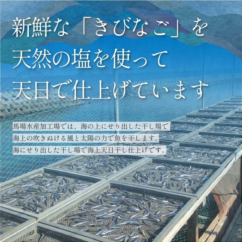 きびなご塩干し 500g 鹿児島県 長島町 甑島産 薩摩川内市 馬場水産加工場 きびなご キビナゴ 塩干 塩干し 鹿児島県産 鹿児島 ご当地