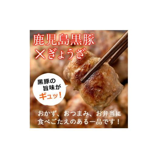 ふるさと納税 鹿児島県 志布志市 お肉屋さんの黒豚肉巻餃子 計30個(10個入×3袋) a1-009