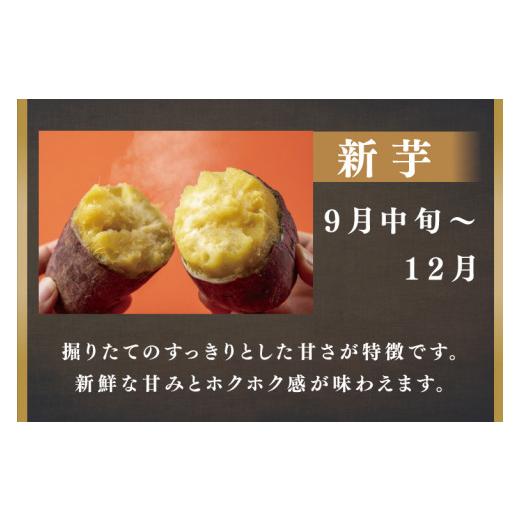 ふるさと納税 茨城県 行方市 CU-168  無選別 行方台地のさつまいも 紅はるか20kg