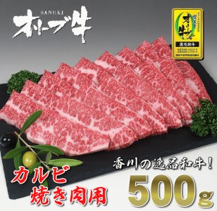 黒毛和牛オリーブ牛 カルビ焼肉用 約500ｇ_M18-0011