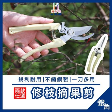 【台灣現貨】修枝剪 剪刀 高枝剪 園藝 果樹剪 花枝剪刀 粗枝剪刀 樹枝剪 剪定鋏 花剪 修花剪刀