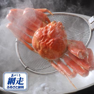 ふるさと納税 網走市 活〆浜茹でズワイ蟹 1尾(1kg)