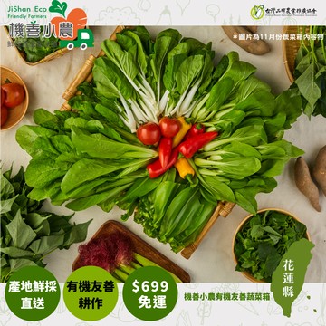 【機善小農_蔬菜箱】花蓮縣_9件(有機友善/產地鮮採直送/支持家鄉好農產)
