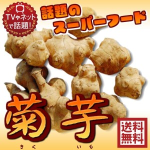 無農薬栽培（国産 菊芋 約1kg　常温）洗浄済み　送料無料サイズ込 イヌリン 菊芋 きくいも キクイモ 青果