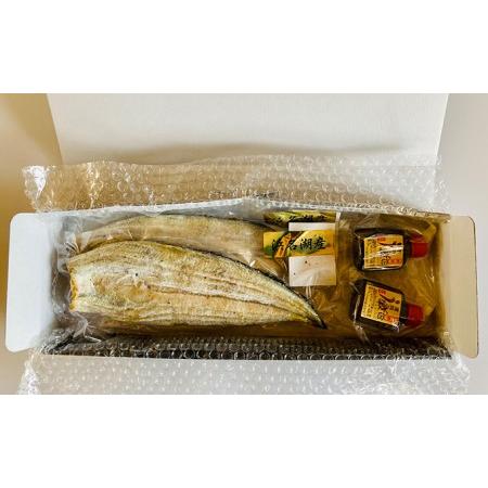 ふるさと納税 うなぎ 浜名湖産 鰻の 白焼き 約140g × 2匹 国産  静岡県浜松市