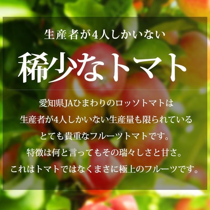 フルーツトマト 愛知県産 ロッソトマト 約1kg Lサイズ 7〜13個 高糖度