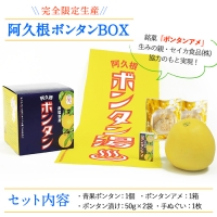 akune-2-42 ＜先行予約受付中！2023年12月中旬以降発送予定＞数量限定！阿久根ボンタンBOX(青果ボンタン、ボンタン漬け、ボンタンアメ、手ぬぐい)国産 お菓子 おやつ2-42