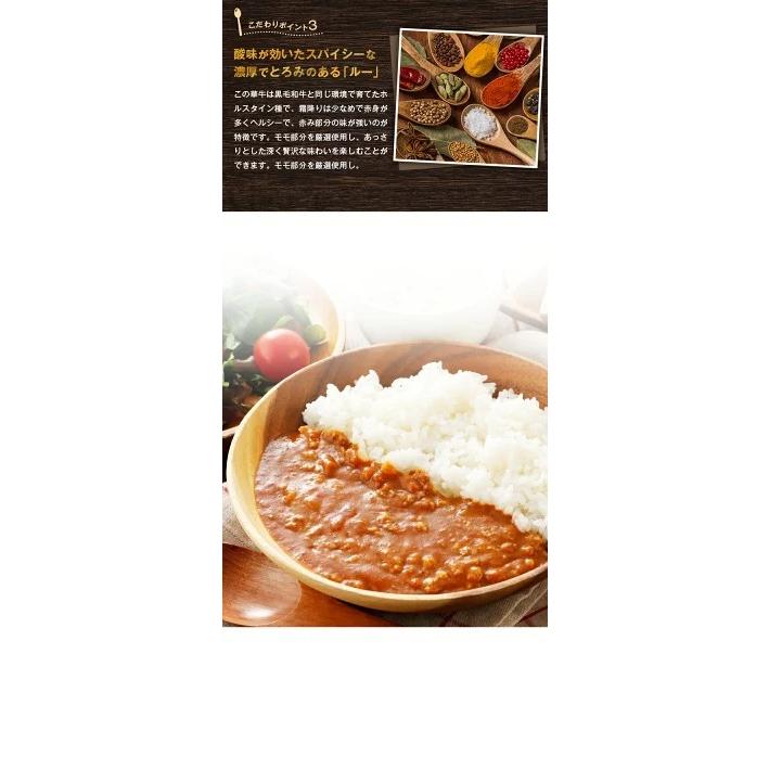 キーマカレー 180g×4パック 送料無料 レトルト食品 国産 豚肉 カレー ご飯 のお供に 牛肉 常温保存OK 非常食にも おつまみ おかず [メール便]