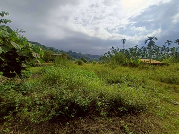 屏東高樹大津瀑布漂亮農地｜屏東縣高樹鄉新豐段