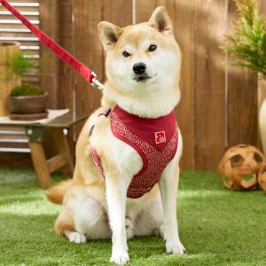 犬用ハーネス 1号 ブラック 小型犬 | lingosol.com