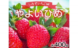 No.347 群馬県産いちご「やよいひめ」約400g　贈答用化粧箱入り ／ 群馬県いちご品評会銀賞・銅賞受賞 フルーツ 果物 イチゴ 苺 群馬県