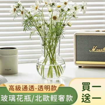 好拾選物 玻璃花瓶/高級通透/北歐輕奢款(買一送一)