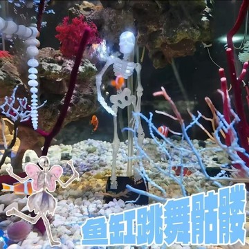 Elegant🔥“會跳舞的魚缸骷髏”魚缸骷髏頭 水舞骷髏頭 魚缸創意擺件 魚缸造景 增氧造景 魚缸裝飾 趣味擺件 骷髏人