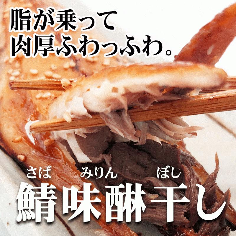 ひもの 一夜干し 鯖（さば）の味醂（みりん）3枚とあじの一夜干し鯵5枚セット 送料無料 伊東 お取り寄せ 干物 ひもの お歳暮やお中元に 伊豆