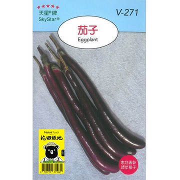 花田綠地種子-茄子