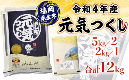 福岡県産　元気つくし　12kg