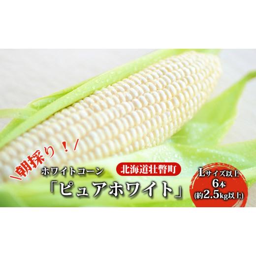 ふるさと納税 北海道 壮瞥町 [No.5724-0622]＜2024年8月下旬よりお届け＞北海道壮瞥町産　ホワイトコーン「ピュアホワイト」Lサイズ以上6本（約2.5k…