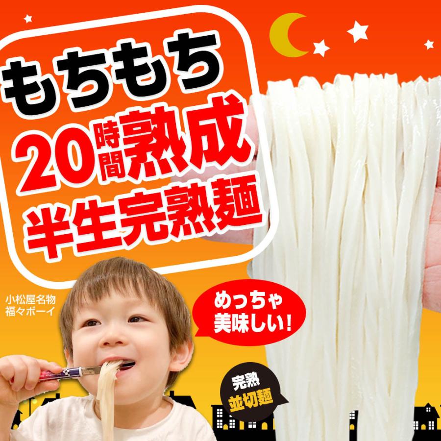 ポイント10% 激ウマ 讃岐 熟成 半生 完熟 並切麺 6〜8食 便利な個包装 750g 送料無料 最安値挑戦 得トクセール 特産品