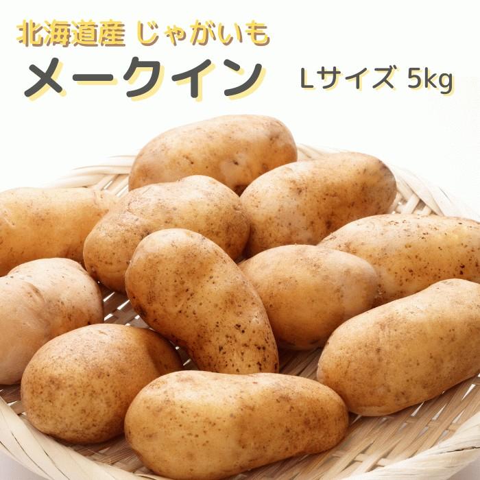 北海道産 じゃがいも メークイン Lサイズ 5Kg