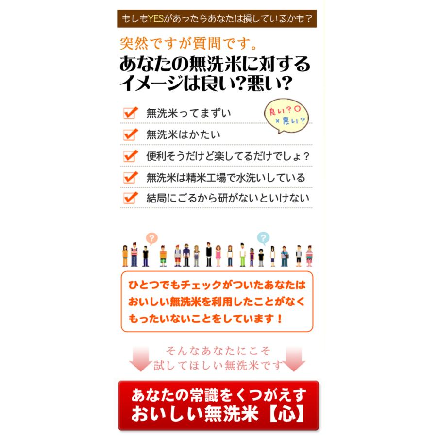 米 4kg 無洗米 送料無料 「心」 2kg×2 九州産 福岡 送料無料