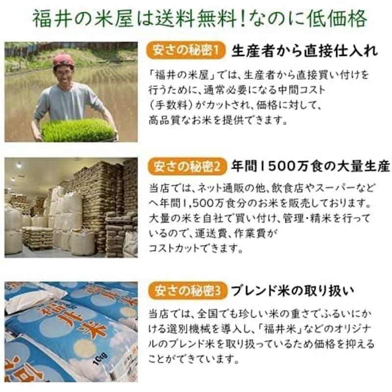 米 新米 福井県産福井米 白米 令和4年産 (30kg)