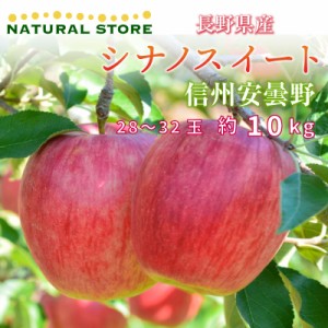 [予約 10月10日-11月30日の納品]  シナノスイート 28-32玉 大玉 約 10kg 秋ギフト りんご リンゴ 長野県 安曇野産 信州安曇野 林檎