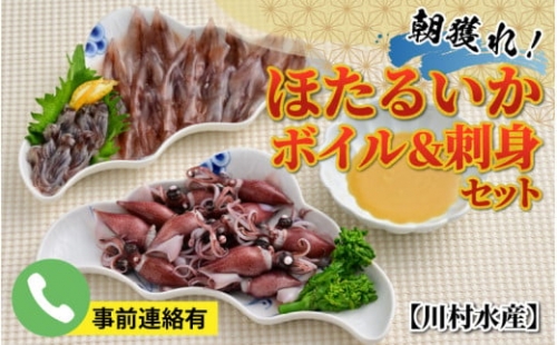 ほたるいか　ボイル＆刺身セット※24年3月～発送　※発送前に在宅確認の電話連絡をいたします！