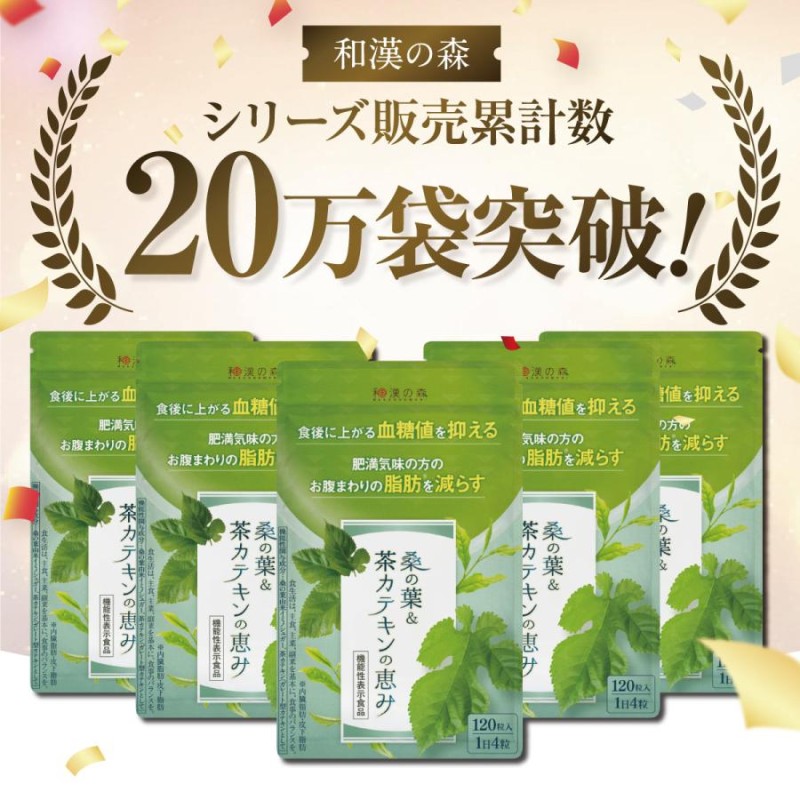 和漢の森 桑の葉 茶カテキン 120粒 国産お腹の脂肪を減らす ×3袋
