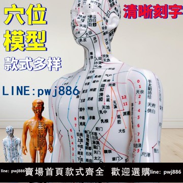 【便宜有好貨】針灸人體模型中醫經絡小銅人穴位十二全身男女小皮人可練習模擬