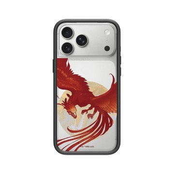iPhone 17 Pro Max Mod NX -邊框背蓋組合 (相機按鈕) 黑 - 哈利波特 Harry Potter - 佛客使Fawkes
