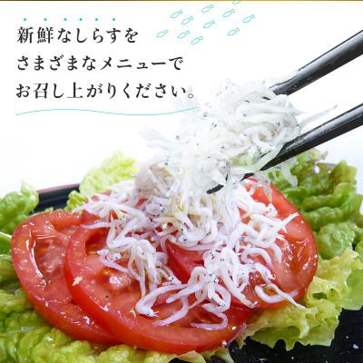 ふるさと納税 南知多町 「太陽のしらす干し」 訳あり しらす干し 1kg 愛知県産 箱入　冷凍