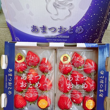【帕查嬤嬤】🇯🇵日本 三重縣 稀有品種 四星 よつぼし 《天》草莓🍓｜日本草莓禮盒