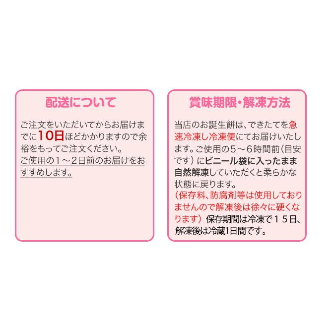 一升餅 お誕生餅セット（紅白餅小分け リュック付き） 一升餅 紅白餅 背負い餅 北海道産もち米使用