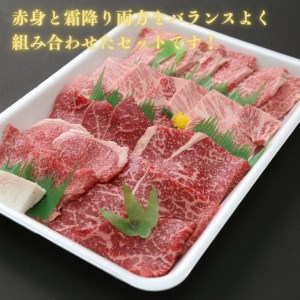 詰め合わせ 牛肉 600g 冷凍 国産 徳島県 黒毛和牛 阿波牛 焼肉 赤身 セット 大人気赤身 人気赤身 絶品赤身 至高赤身 焼き肉赤身 国産赤身 冷凍赤身 バーベキュー赤身 徳島県産赤身 徳島県赤身  赤身