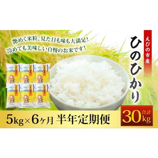 ふるさと納税 宮崎県 えびの市 えびの産 ひのひかり 5kg×6ヶ月 合計30kg