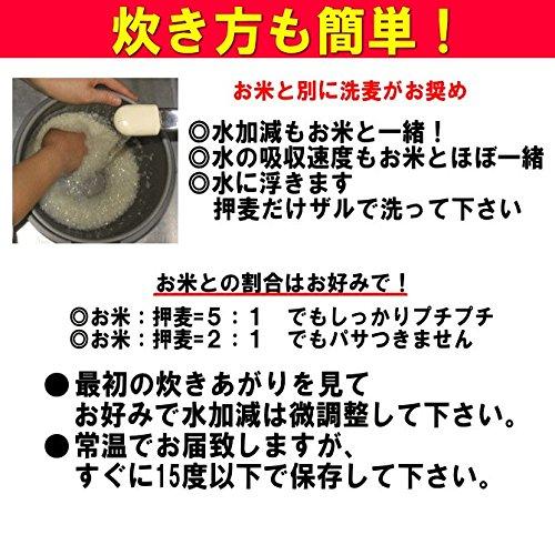 押麦450g ポスト投函専用 福岡県産 裸麦