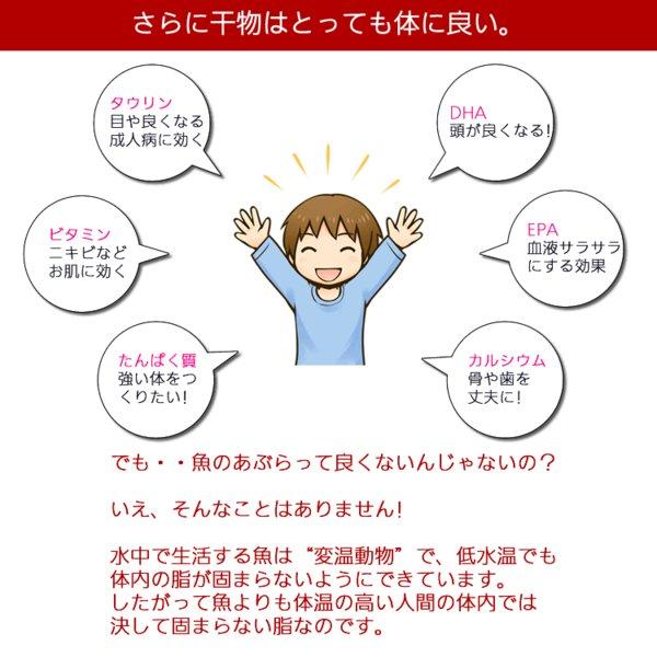 お歳暮 ギフト 干物 お取り寄せ グルメ プレゼント 贈答品  干物 送料無料  おまかせ干物セット5000円コース  魚 食品 おかず