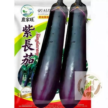 🍆【原裝進口】紫長茄種子｜皮薄肉嫩不澀口｜陽台盆栽/菜園皆宜｜發芽率高達90%｜從播種到採收完整教學｜家庭種菜首選