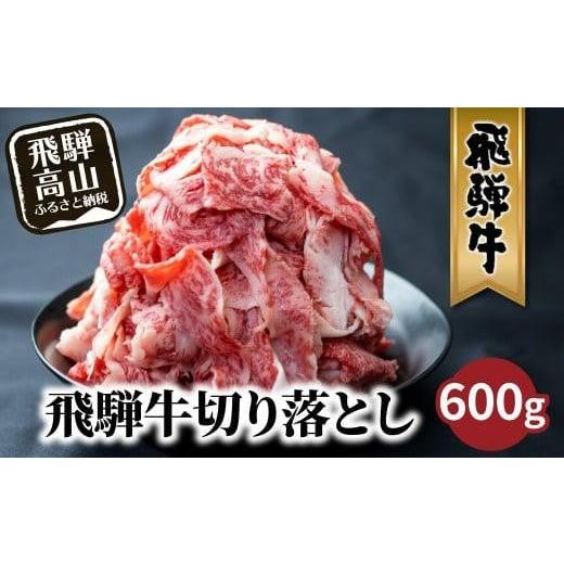 ふるさと納税 岐阜県 高山市 飛騨牛 切り落とし 600g 牛肉 訳あり 不揃い  日付指定不可