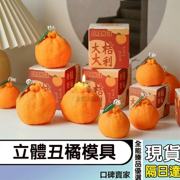 現貨隔日達⚡醜桔蠟燭模具 仿真水果模具 大桔子模具 醜橘模具 香氛蠟燭DIY材料 擴香石模具 烘焙模具