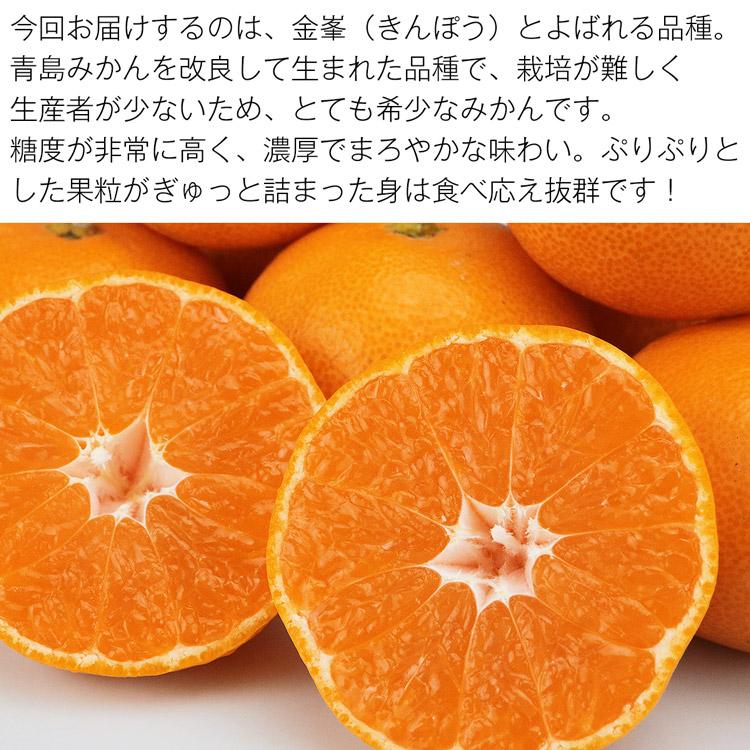 金峯みかん 2.5kg 熊本県産 秀 完熟 熊本みかん M L 2Lサイズおまかせ 希少 きんぽう 金峰 蜜柑 ミカン 常温便 同梱不可 指定日不可 産直