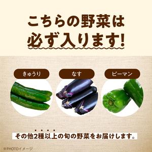 ふるさと納税 ＜2024年7月より順次発送＞季節の有機野菜「夏セット」 福島県二本松市