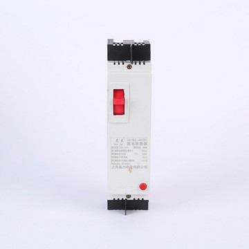 現貨批發DZ15LE塑殼式漏電斷路器 家用微型漏電保護開關{鑫弘-工葉電器}可開發票