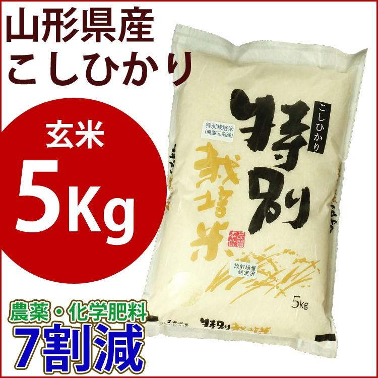 玄米　特別栽培米　5kg　山形県産こしひかり 　農薬7割減