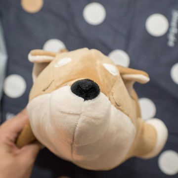 柴犬兄弟 兩種可選 棉床本舖